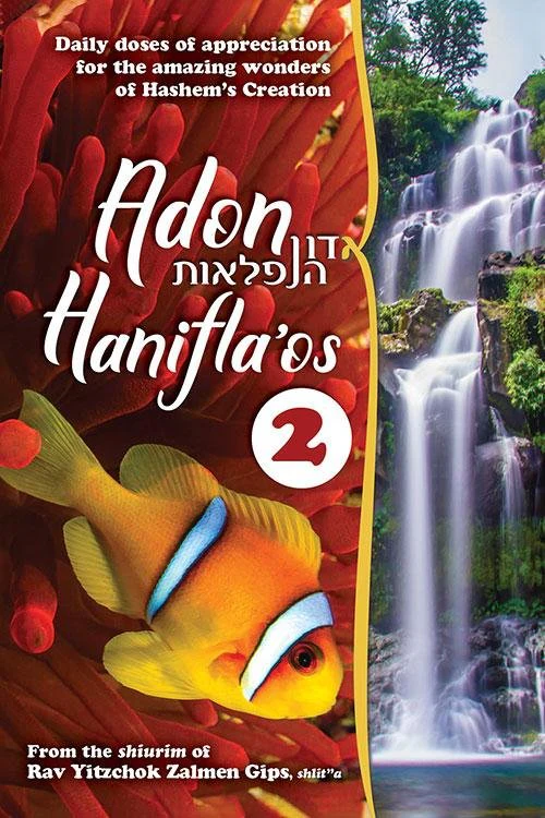 Adon Hanifla'os 2 - Image 2