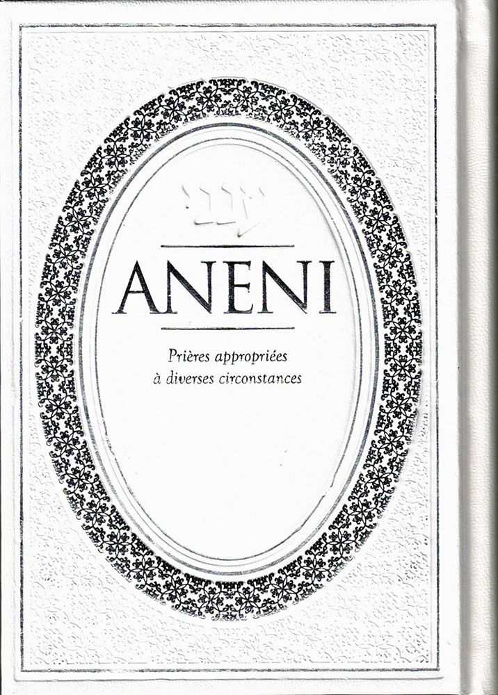 Aneni: French Edition