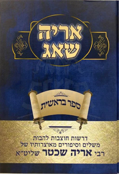 Aryeh Shuag - Rav Aryeh Shechter (Bresheet) - Image 2