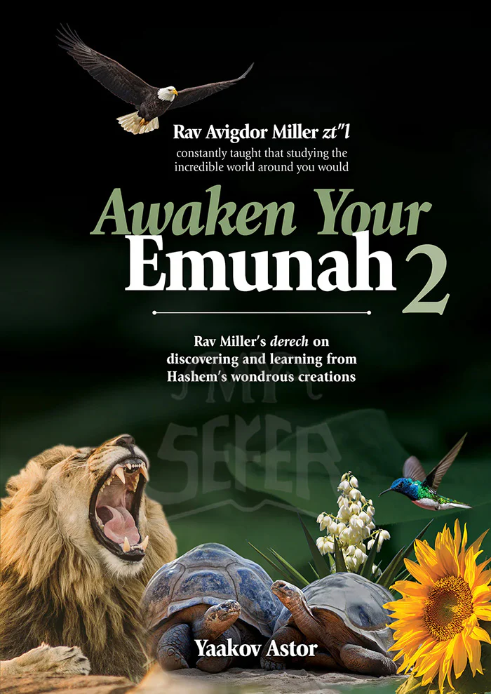 Awaken Your Emunah 2