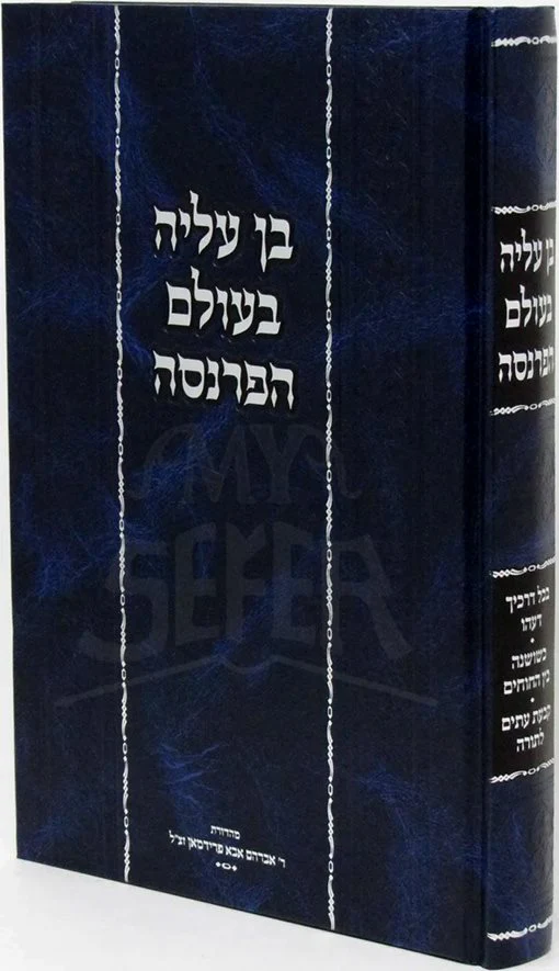 Ben Aliyah BeOlam HaParnassah - Image 2