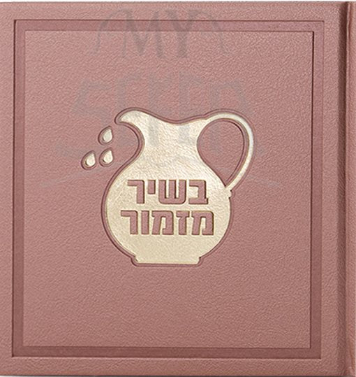 BeShir Mizmor