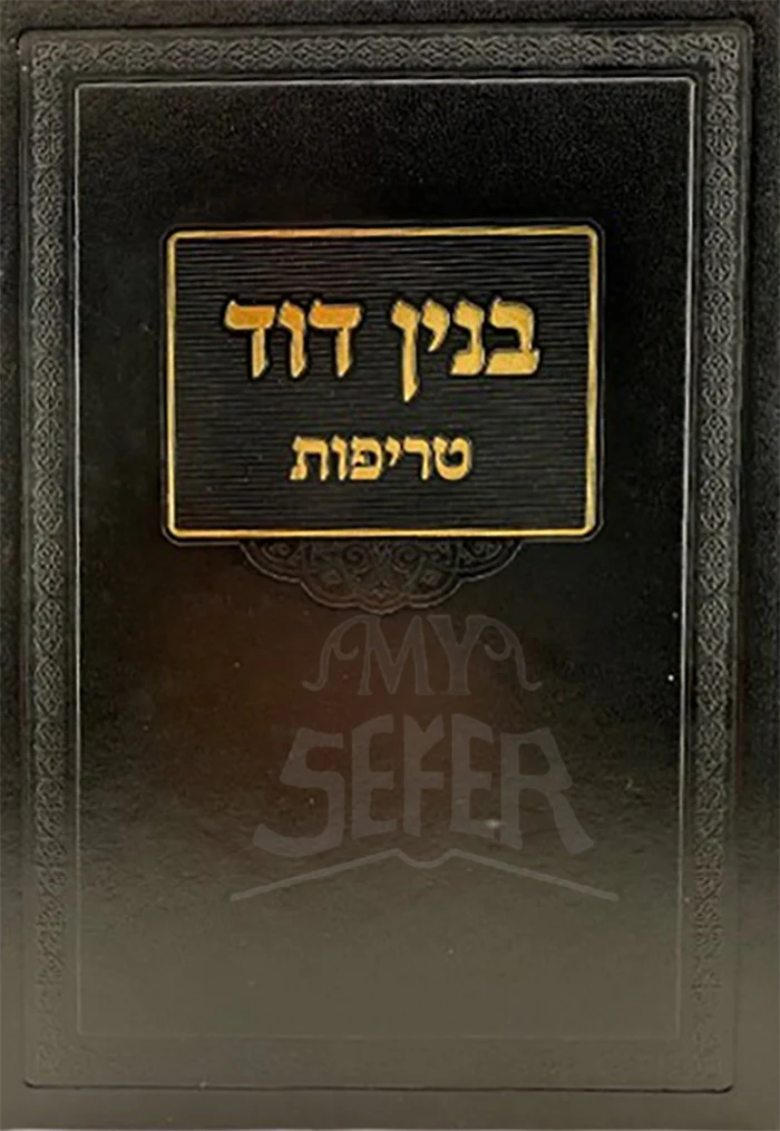 Binyan David / בנין דוד