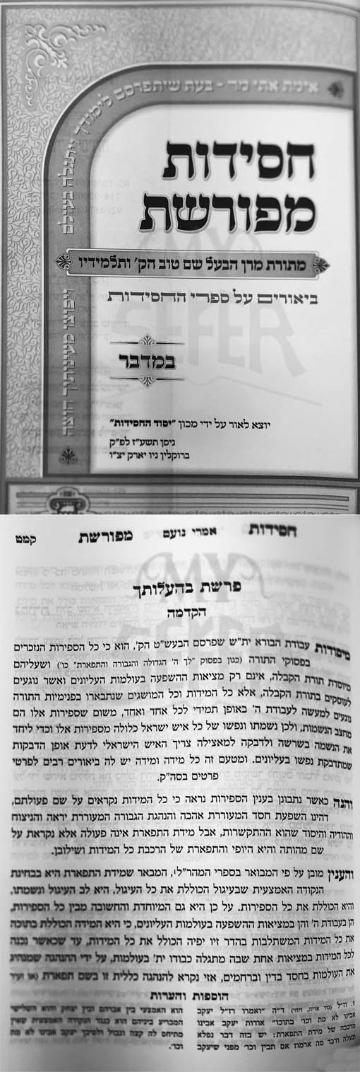 Chasidut Mefureshet Bamidbar