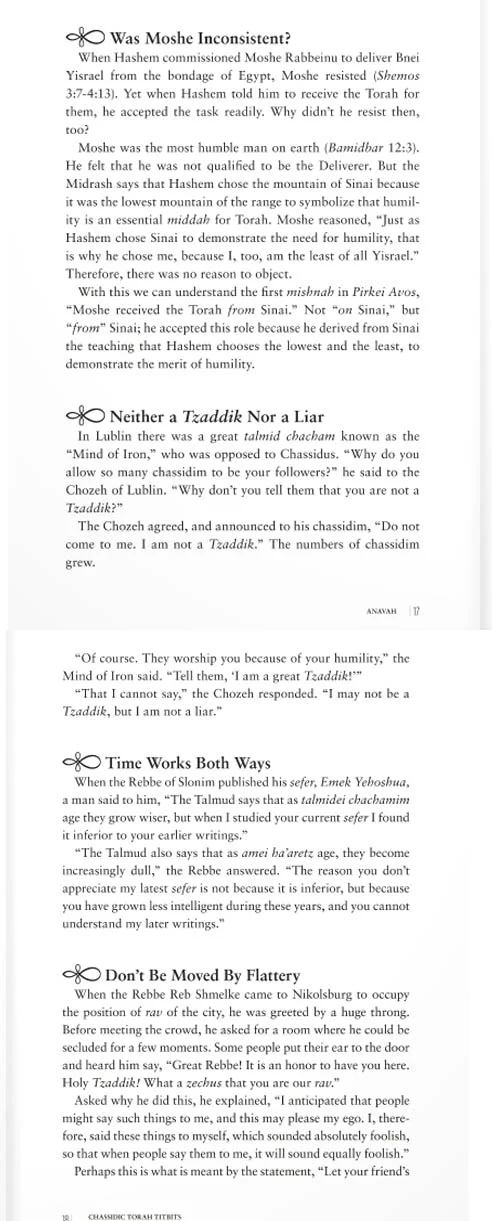 Chassidic Torah Tidbits