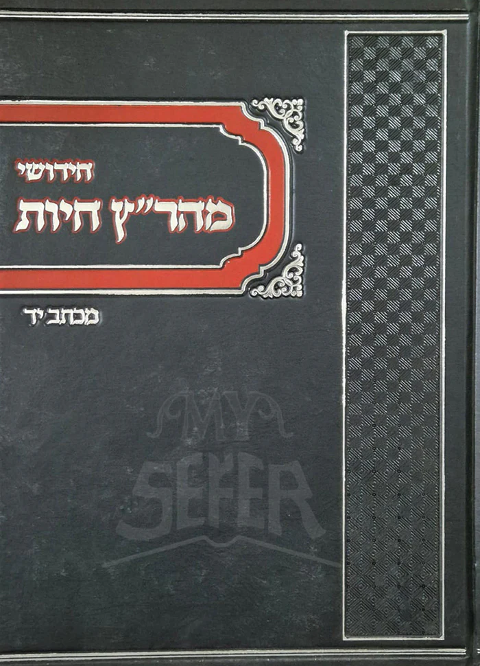 Chidushei Maharitz Chiyes M'Ktav Yad / חידושי מהר"ץ חיות מכתב יד