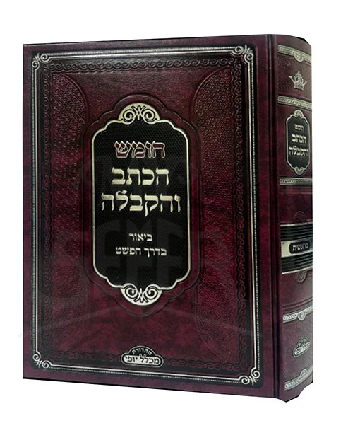 Chumash HaKetav Ve HaKaballah - Image 2