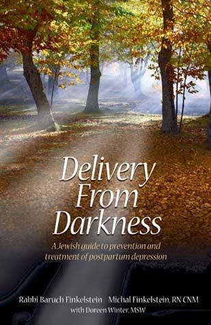 Delivery From Darkness: A Jewish Guide to Prevention and Treatment of Postpartum Depression (Paperback)