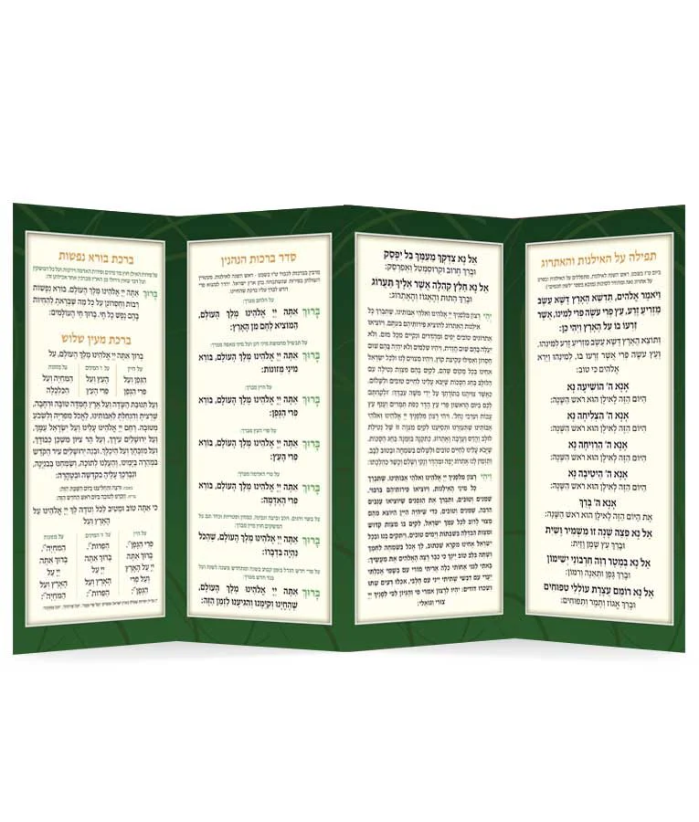 Folding Tu Bishvat - Edot Hamizrach - Image 2