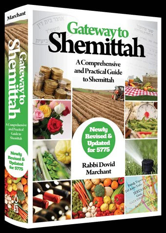 Gateway to Shemittah: A Comprehensive and Practical Guide to Shemittah