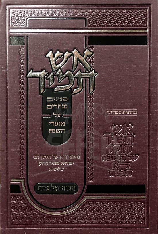 Haggadah Eish Tamid : Rabbi Yisrael Meir Druk - Image 2