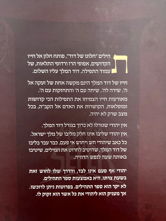 HaLanun Shel Dod / הלונו של דוד - Image 2