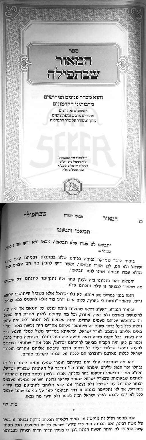HaMaor SheBaTefilah - Image 2