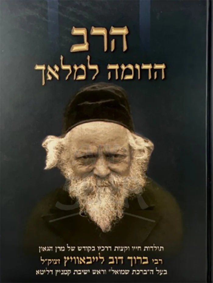 HaRav Hadomah Lamelech / הרב הדומה למלאך