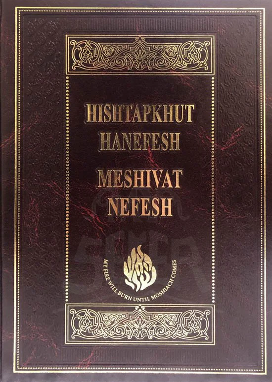 Hishtapkhut HaNefesh - Meshivat Nefesh - Image 2