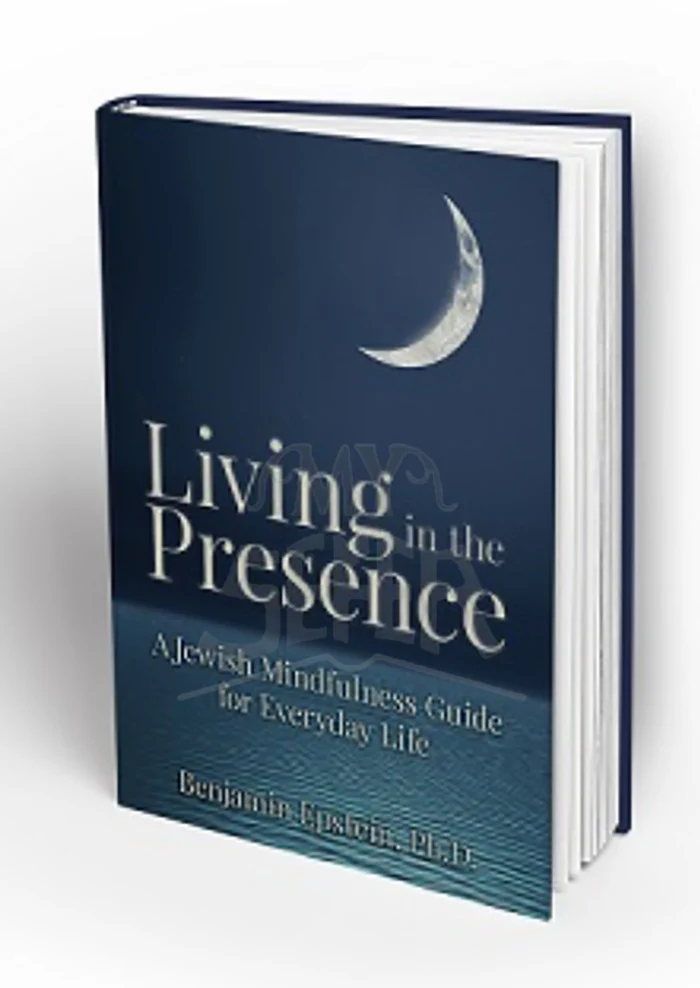 Living in the Presence: A Jewish Mindfulness Guide for Everyday Life - Hardcover