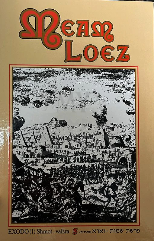 MeAm Lo'ez : Vol. 5 (Spanish)