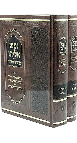 Nefesh Eliyahu Pitchei Orah al Otzrot Chaim : R' Yisrael Eliyahu Weintraub (2 vol.)