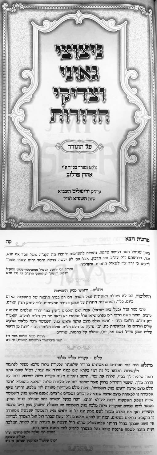 Nitzotzei GeOnei VeTzadikei HaDorot al HaTorah