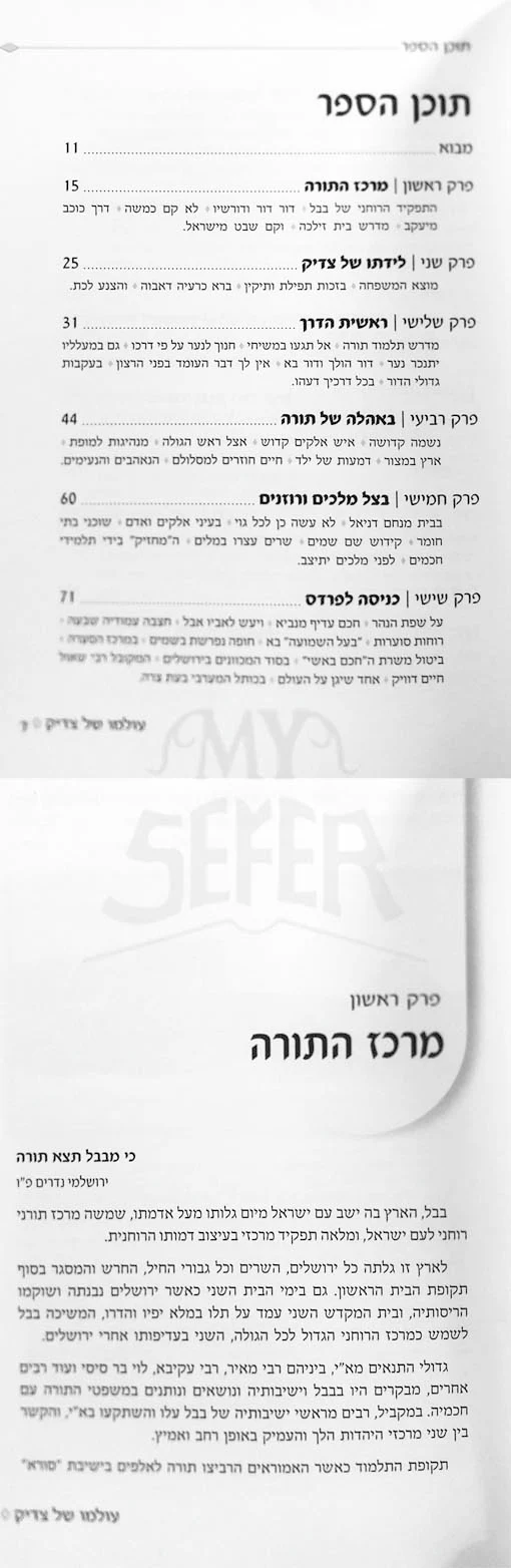 Olamo Shel Tzadik - Rabbi Salomon Mutzafy