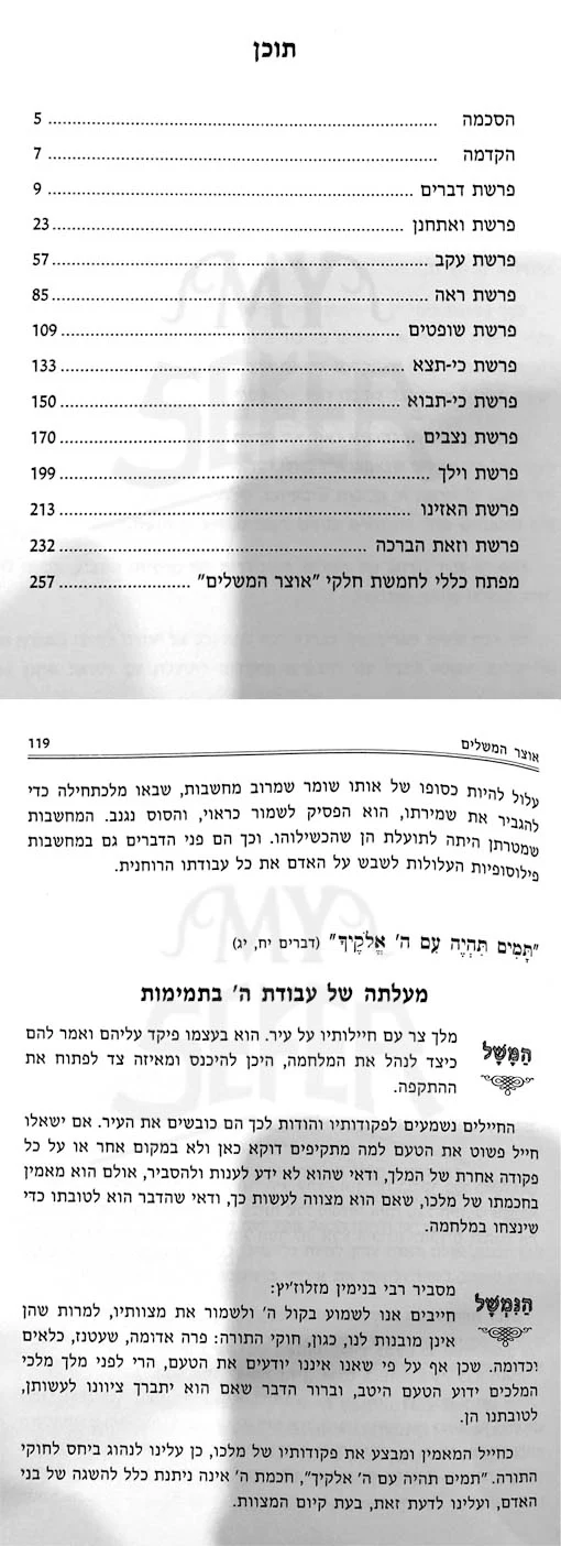 Otzar Hama Shalim al HaTorah