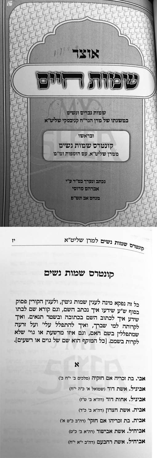 Otzar Shmot Chaim - Rabbi Chaim Kanievsky
