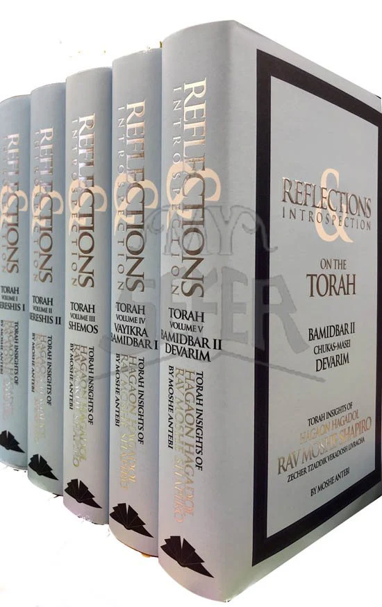 Reflection & Introspection - Torah (Rabbi Moshe Shapiro) - Image 2