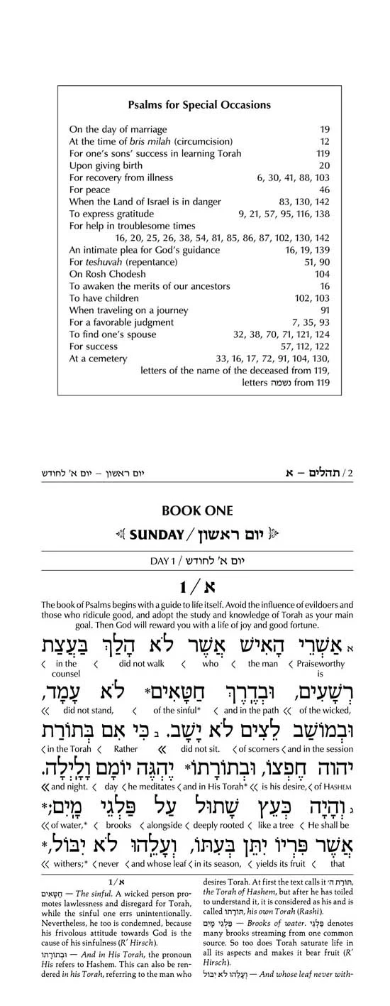 Schottenstein Ed Tehillim: Book of Psalms Interlinear Translation Leather Alligator