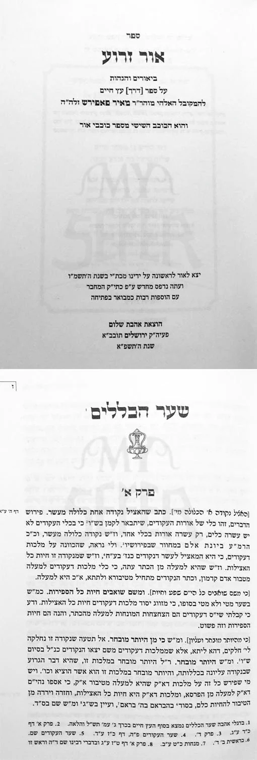 Sefer Rabbi Meyer Paprosh : Ohr Zarua al Sefer Derech EtzChaim / Hagadot al Sefer Pri Etz Chaim