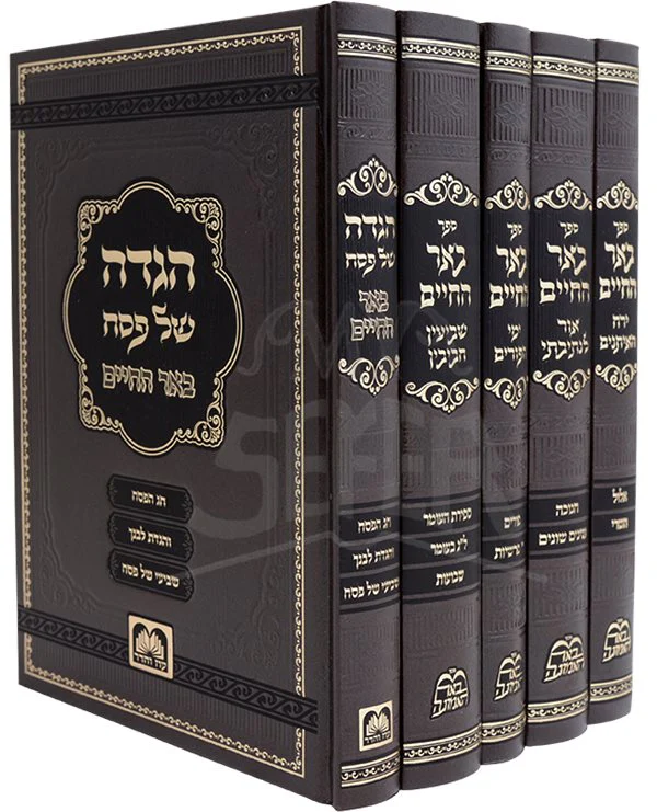 Be'er Hachaim Moadim - Harav Biderman (5 Volumes)