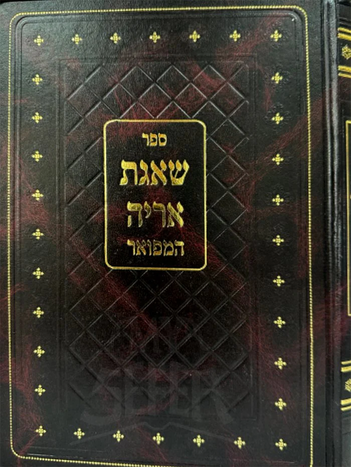 Shaagat Aryeh Hamefoar