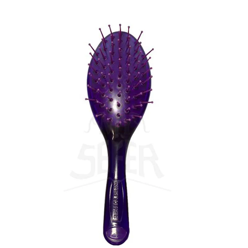 Shabbos Brush - Kosher Smart - Purple
