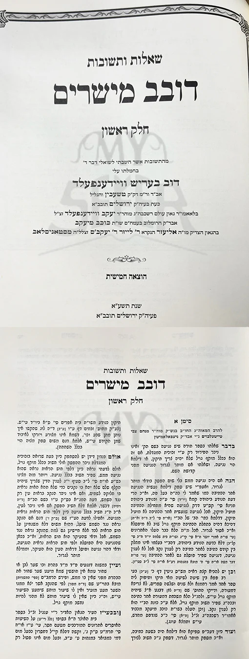 Sheelot Uteshuvot - Dovev Meisharim - 2 Volume Set
