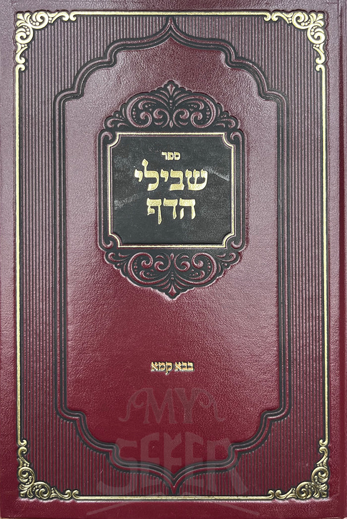 Shveili HaDaf - Bava Kamma / שבילי הדף - בבא קמא