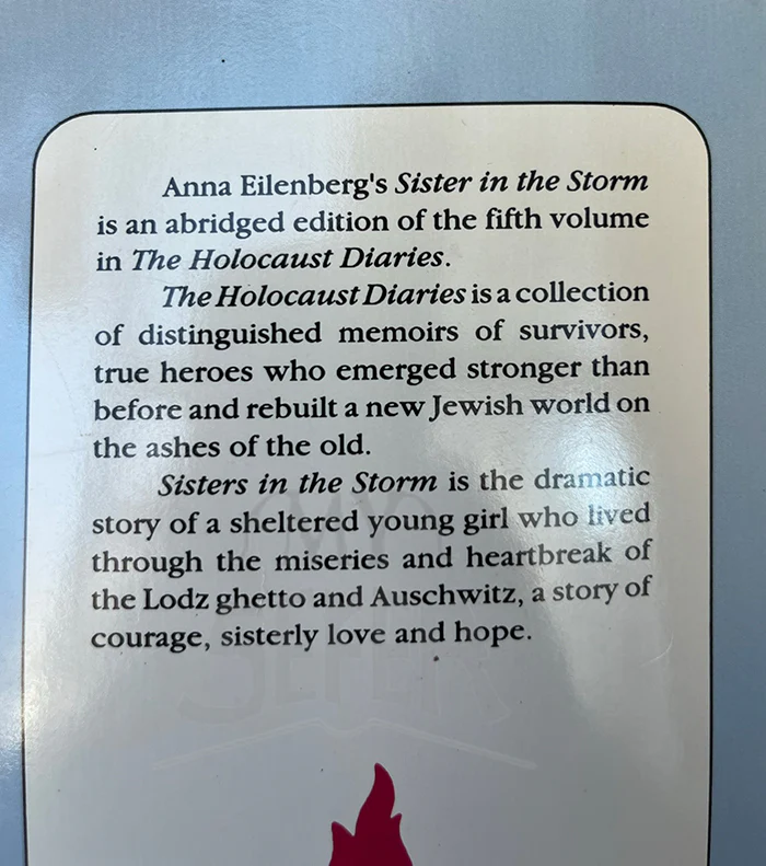 Sisters in the Storm Hardcover - Image 2