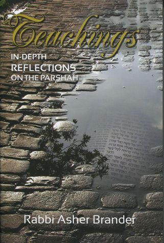 Teachings: In-Depth Reflections on the Parsha