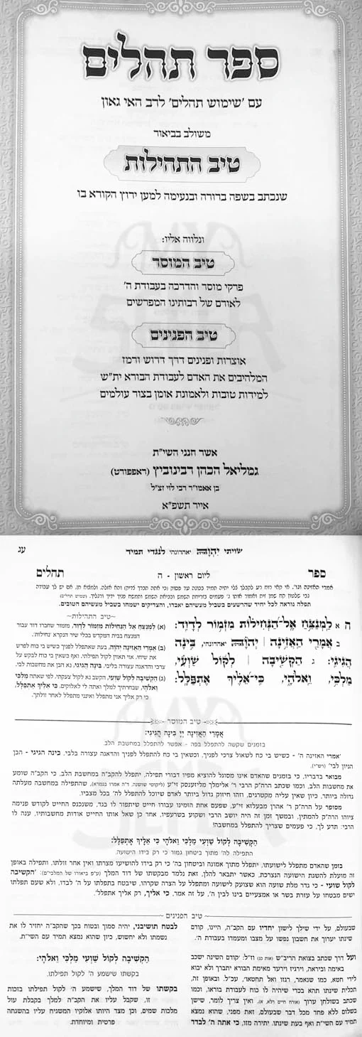 Tehillim : Rabbi Gamliel HaCohen Rabinovitz