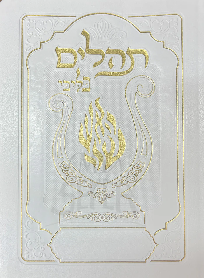 Tehillim BeLibi / תהלים בליבי
