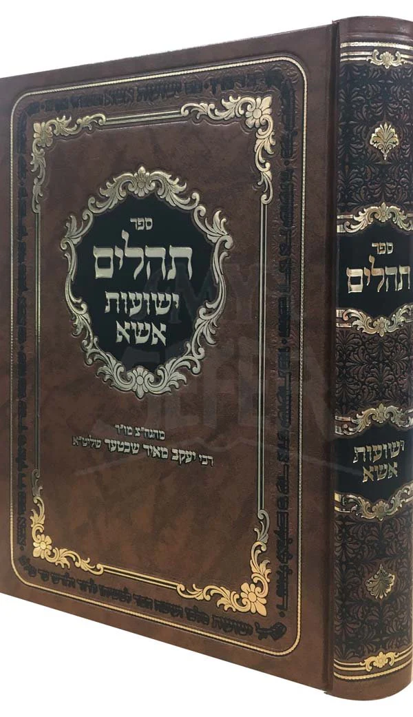 Tehillim Yeshuot Essa - Rabbi Yaakov Meir Shechter (Large Size 9.5" x 7") - Image 2
