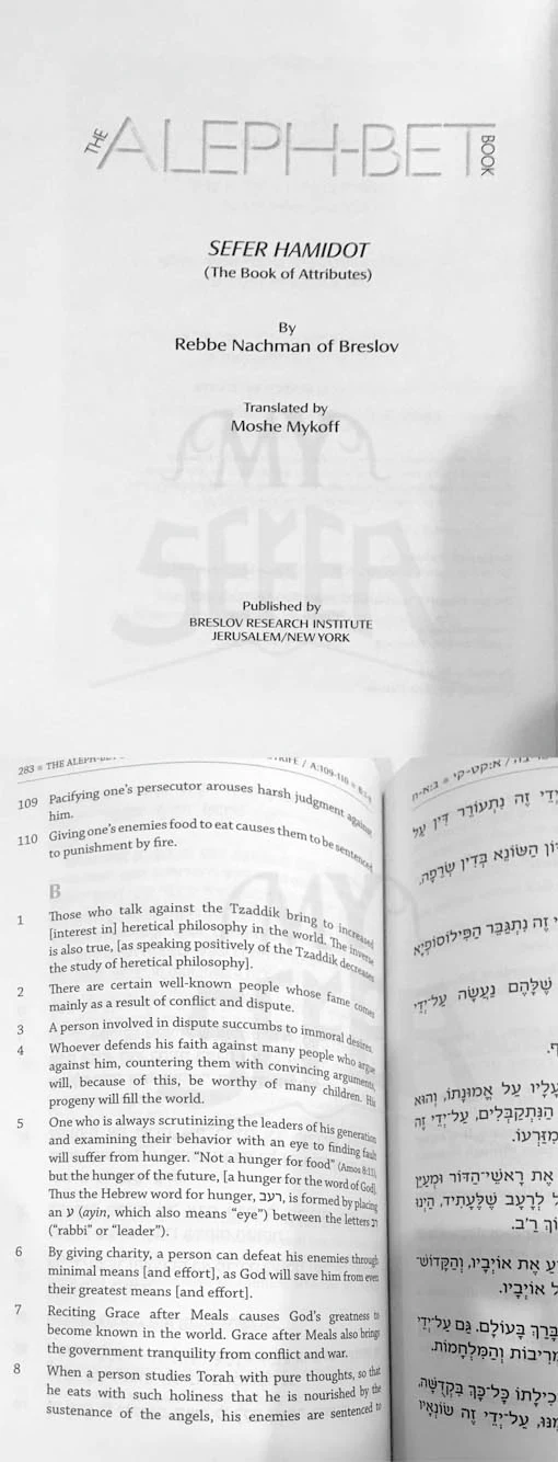 The Aleph-Bet Book