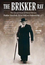 The Brisker Rav-2 volumes
