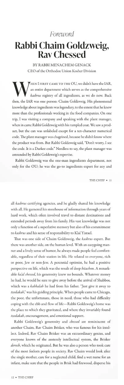 The Chief - The World-Changing Life of Rabbi Chaim Goldzweig