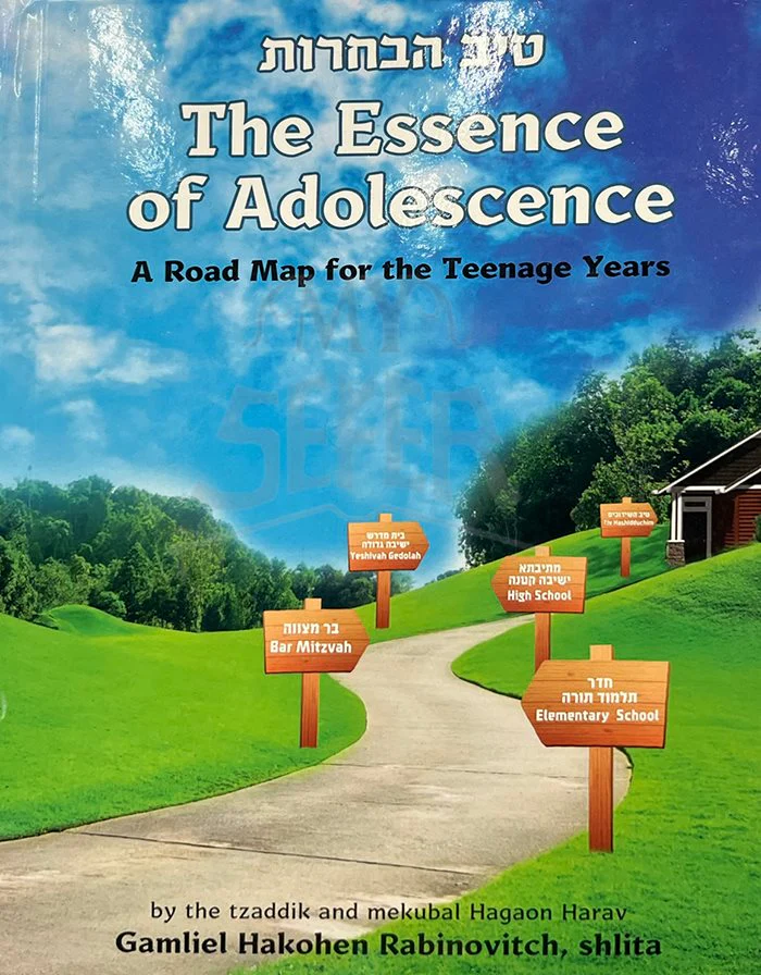 The Essence of Adolescence - A Road For The Teenage Years - Image 2