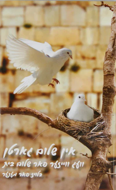 The Garden of Peace by Rabbi Shalom Arush YIDDISH / אין שלום גארטן