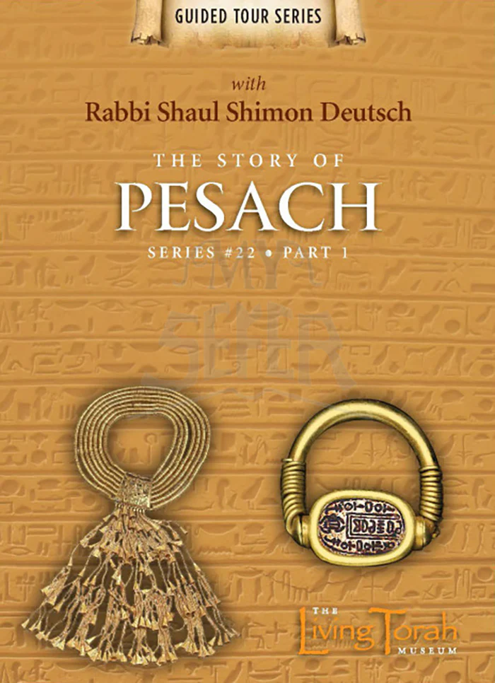 The Story Of Pesach _1 - DVD