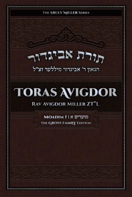 Toras Avigdor: Moadim I