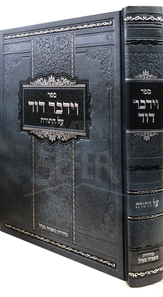 Vayedaber Dovid al HaTorah - Rav Steinvartzel